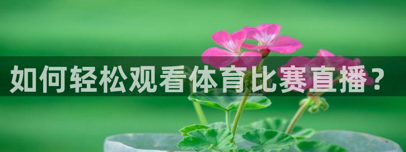 如何轻松观看体育比赛直播？