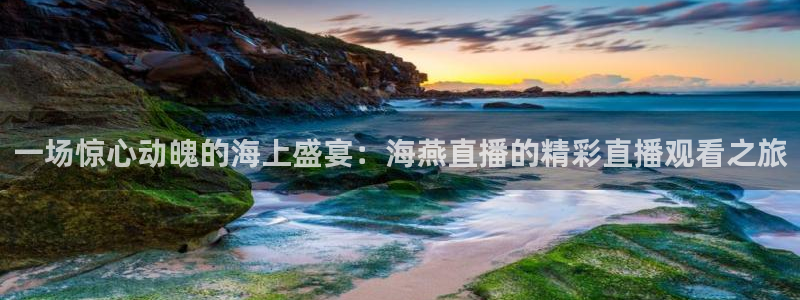 一场惊心动魄的海上盛宴：海燕直播的精彩直播观看之旅