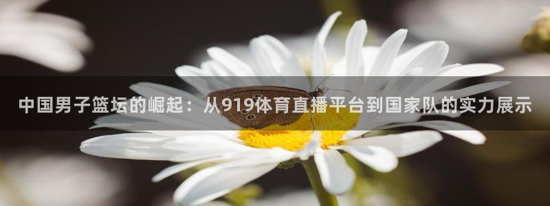 中国男子篮坛的崛起：从919体育直播平台到国家队的实力展示