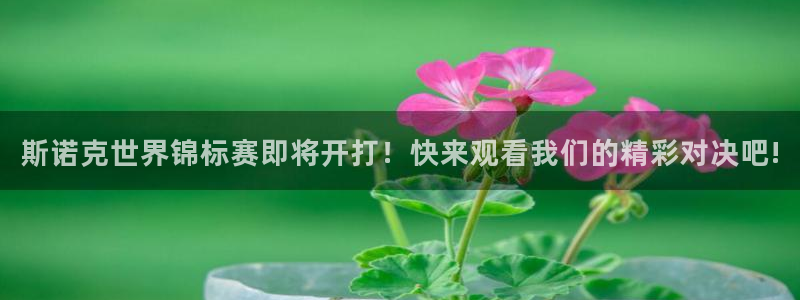 斯诺克世界锦标赛即将开打！快来观看我们的精彩对决吧!