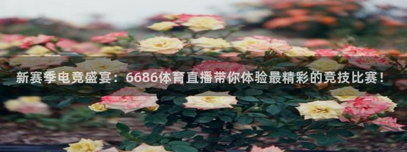 新赛季电竞盛宴：6686体育直播带你体验最精彩的竞技比赛！