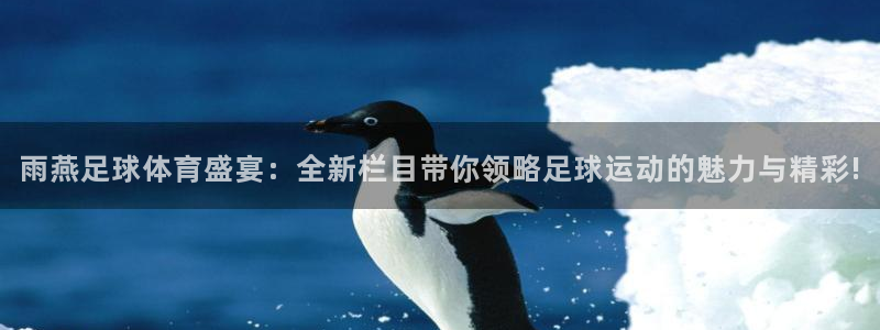 雨燕足球体育盛宴：全新栏目带你领略足球运动的魅力与精彩!