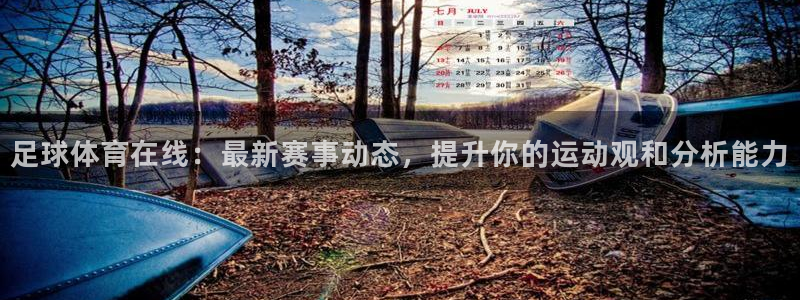 足球体育在线：最新赛事动态，提升你的运动观和分析能力