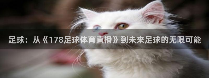 足球：从《178足球体育直播》到未来足球的无限可能