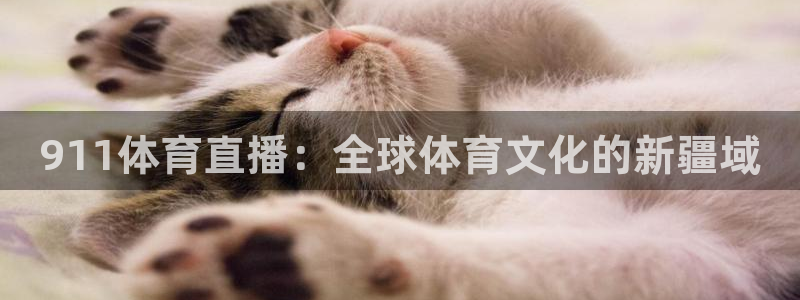 911体育直播：全球体育文化的新疆域