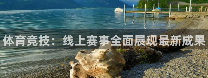 体育竞技：线上赛事全面展现最新成果