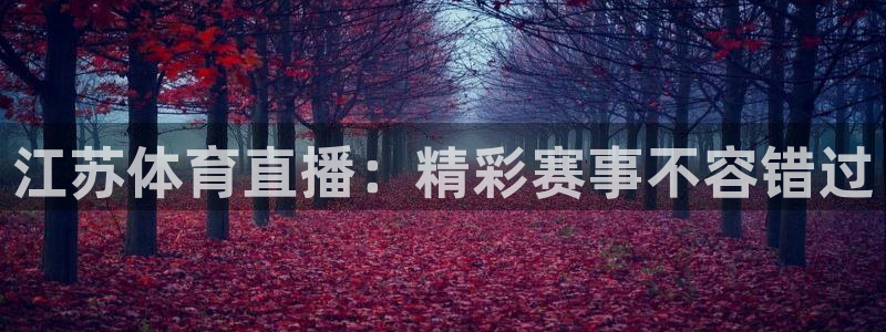 江苏体育直播：精彩赛事不容错过