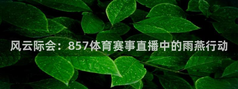 风云际会：857体育赛事直播中的雨燕行动