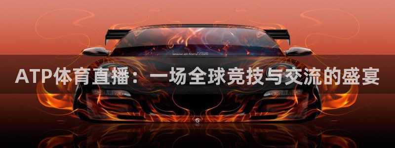 ATP体育直播：一场全球竞技与交流的盛宴