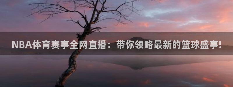 NBA体育赛事全网直播：带你领略最新的篮球盛事!
