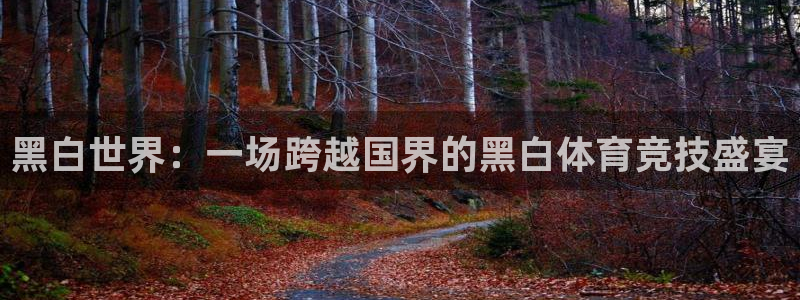 黑白世界：一场跨越国界的黑白体育竞技盛宴