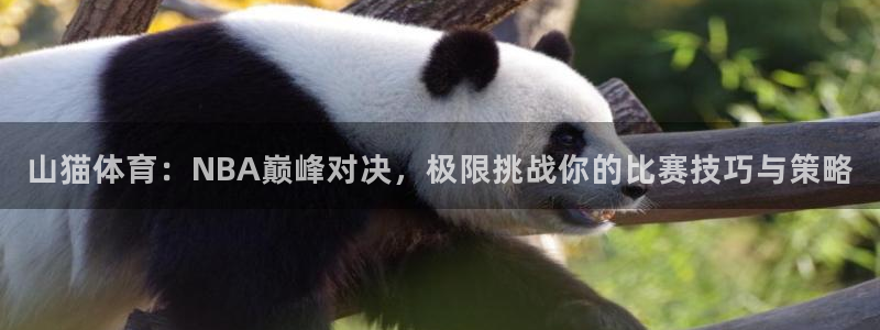 山猫体育：NBA巅峰对决，极限挑战你的比赛技巧与策略
