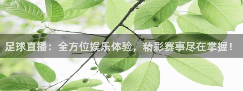 足球直播：全方位娱乐体验，精彩赛事尽在掌握！