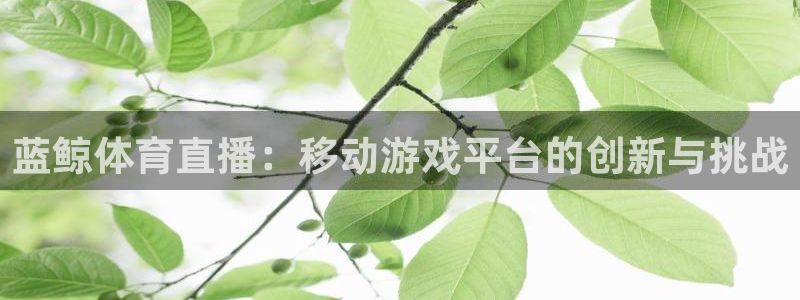 蓝鲸体育直播：移动游戏平台的创新与挑战