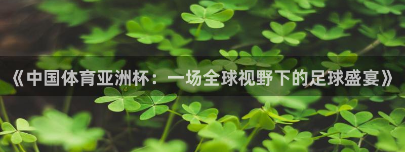 《中国体育亚洲杯：一场全球视野下的足球盛宴》