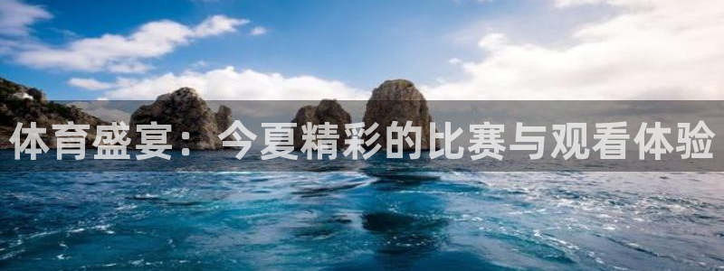 体育盛宴：今夏精彩的比赛与观看体验