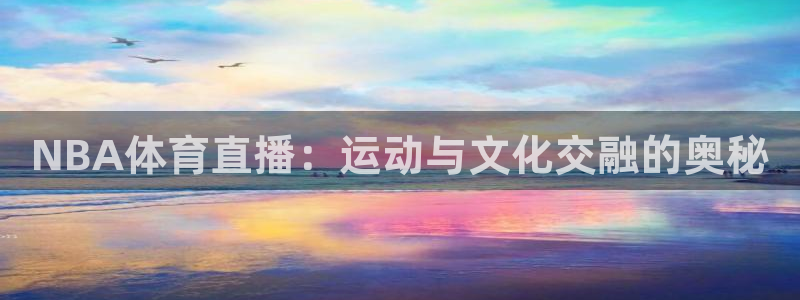 NBA体育直播：运动与文化交融的奥秘