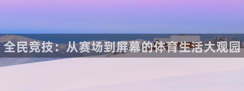 全民竞技：从赛场到屏幕的体育生活大观园