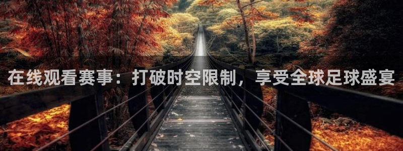 在线观看赛事：打破时空限制，享受全球足球盛宴