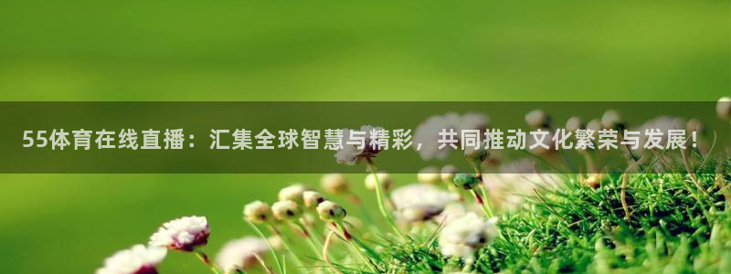 55体育在线直播：汇集全球智慧与精彩，共同推动文化繁荣与发展！