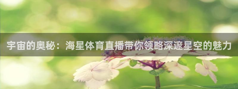 宇宙的奥秘：海星体育直播带你领略深邃星空的魅力
