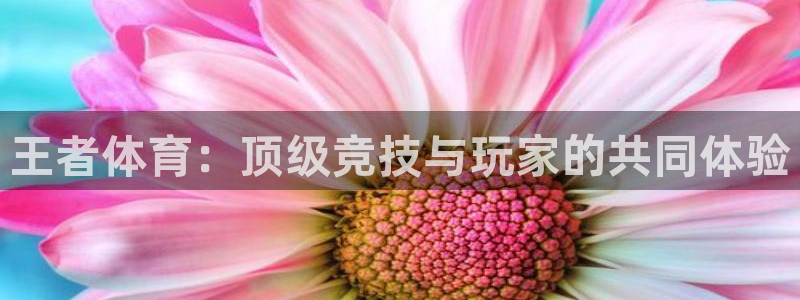 王者体育：顶级竞技与玩家的共同体验