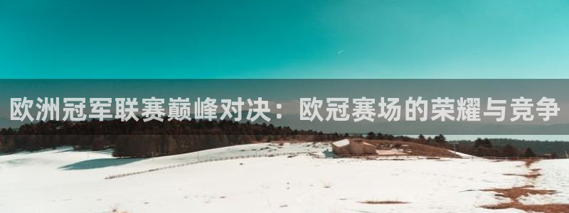 欧洲冠军联赛巅峰对决：欧冠赛场的荣耀与竞争