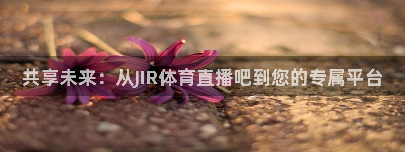 共享未来：从JIR体育直播吧到您的专属平台