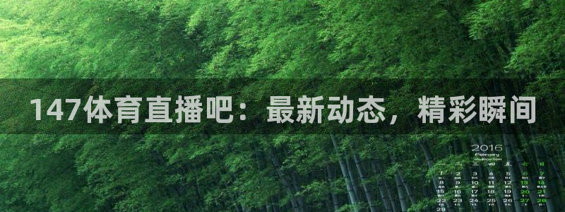 147体育直播吧：最新动态，精彩瞬间