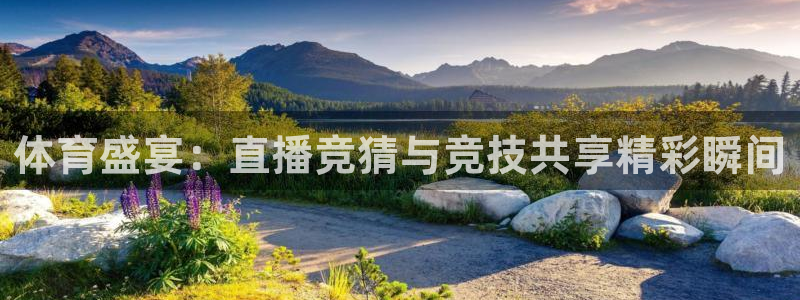 体育盛宴：直播竞猜与竞技共享精彩瞬间