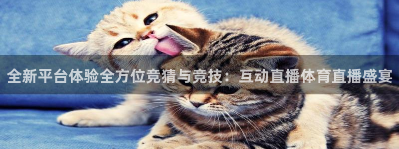 全新平台体验全方位竞猜与竞技：互动直播体育直播盛宴