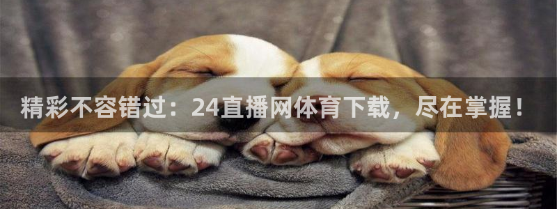 精彩不容错过：24直播网体育下载，尽在掌握！